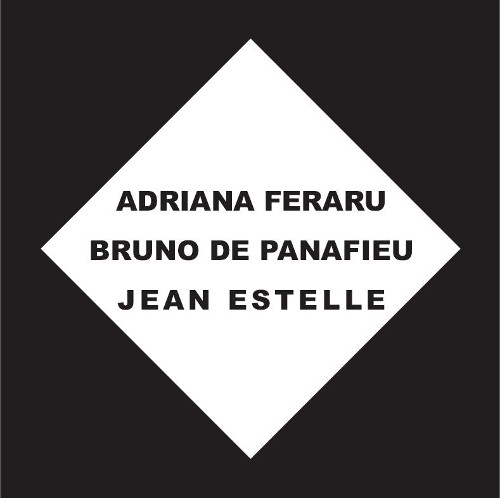 Adriana Feraru - exposition Art et Droit